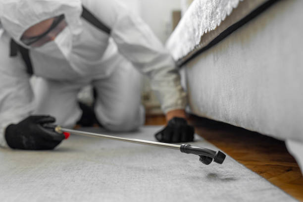 Professional Bed Bug Control technician working in San Leandro, CA