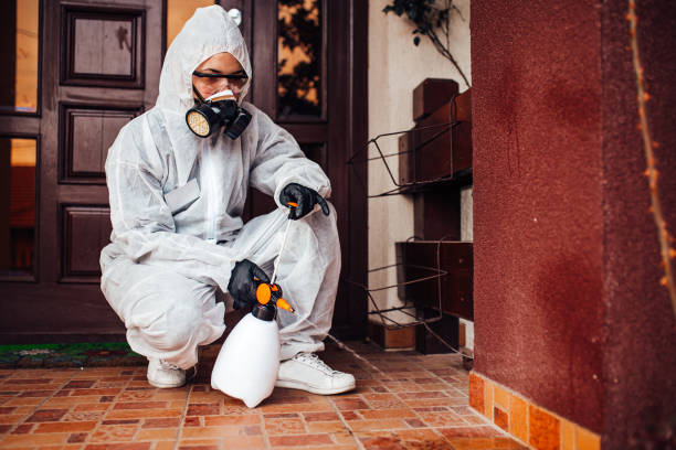 Reliable Bed Bug Control contractor in San Leandro, CA by Nex Pest Control